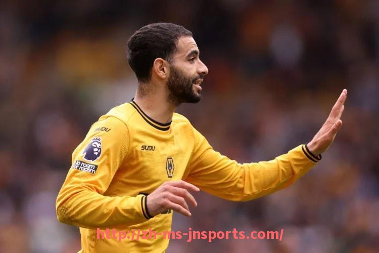 JN江南体育-法甲外援市场趋势及体育竞技影响力解析