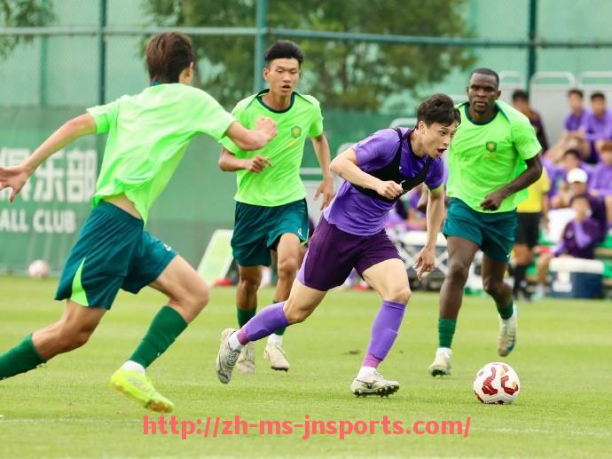 JN江南体育-2023年意甲球队分布与赛季变化