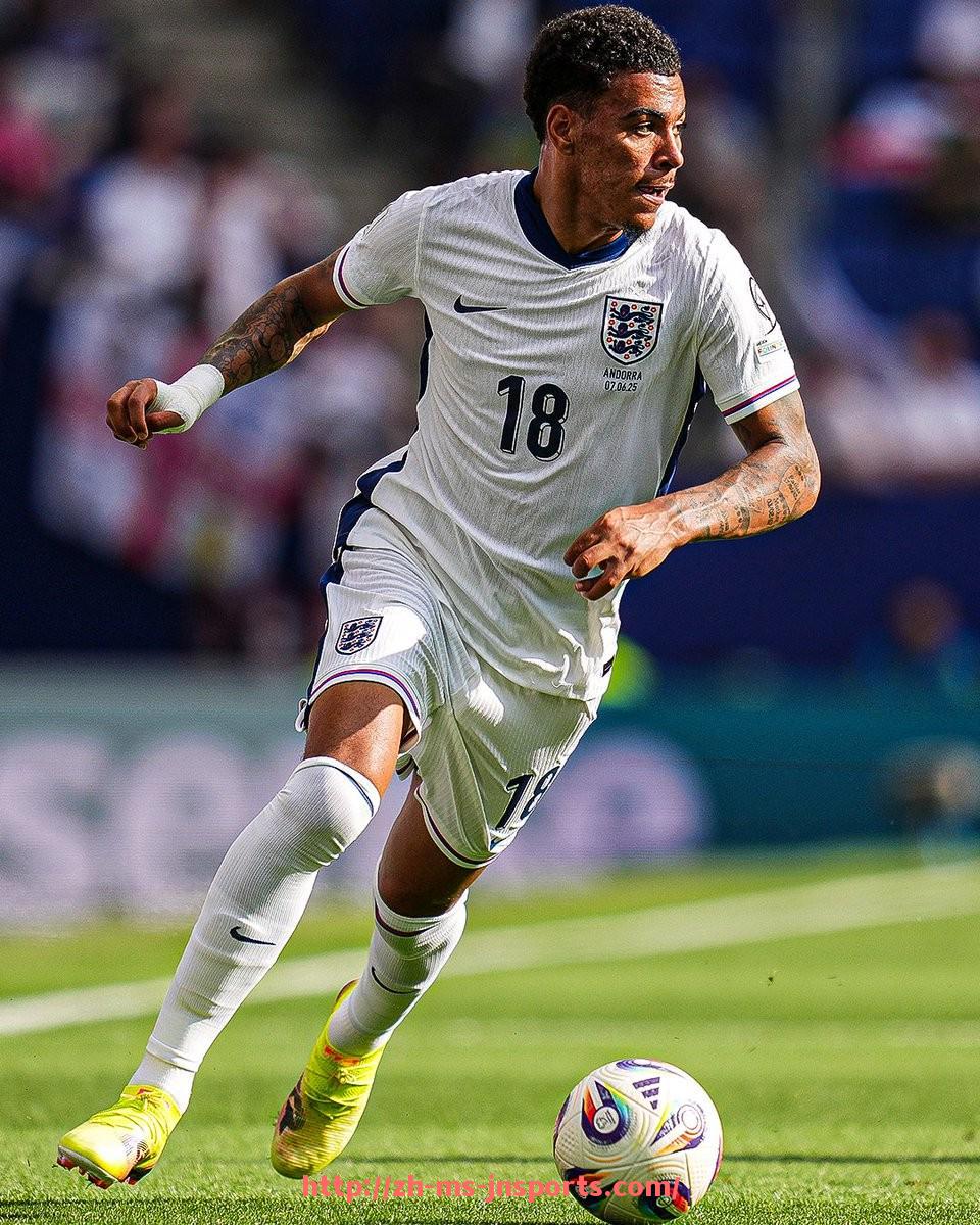 JN江南体育-意甲假球球队：意甲联赛中曾涉及假球丑闻的球队